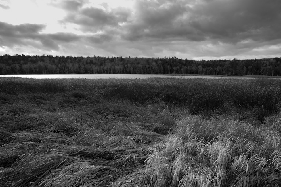Long Pond Grass and Storm