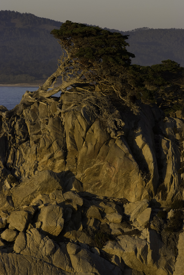 Point Lobos Rocks 2