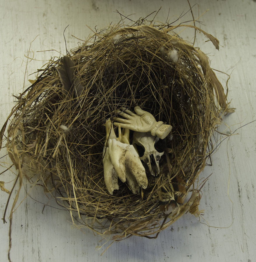 Ivory Nest
