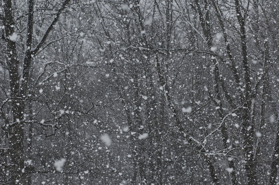 Buckland Snow 0314