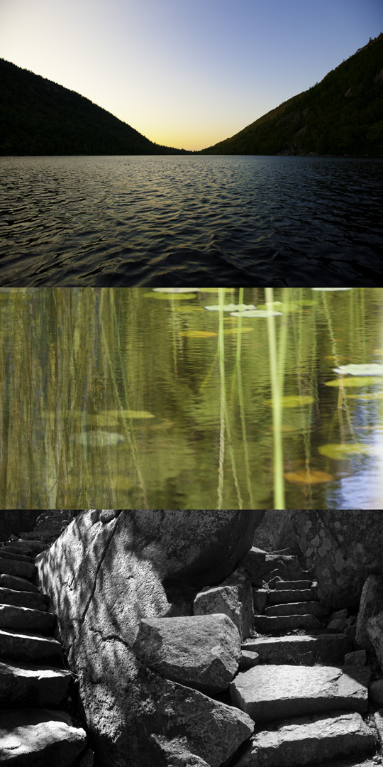 Acadian Symetry