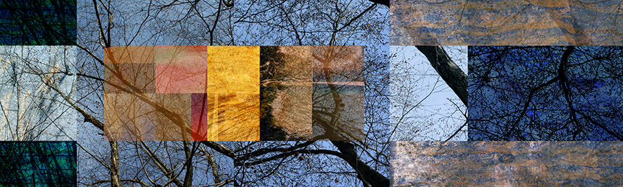 Birch Tops 3