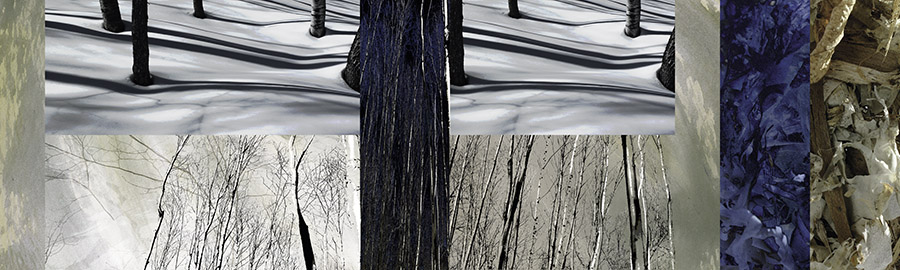 Snow Shadows