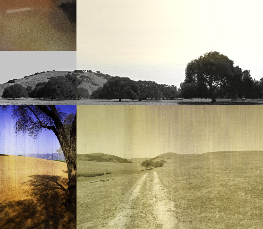 Calif 21-40x46