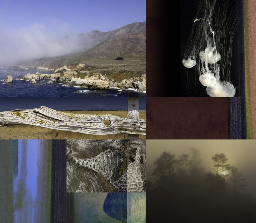 Calif 19-40x46