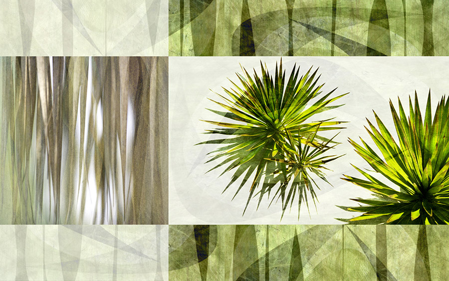 Spikey