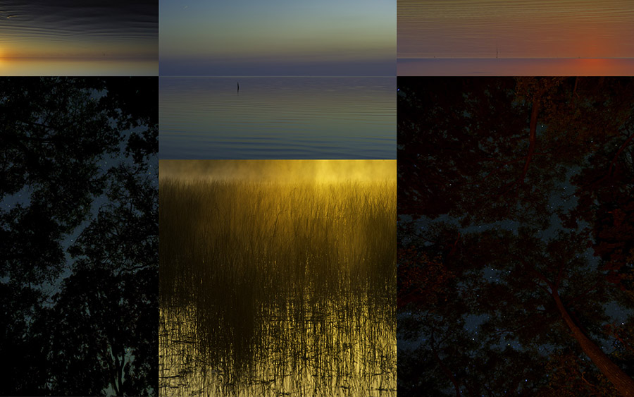 Stillness 3