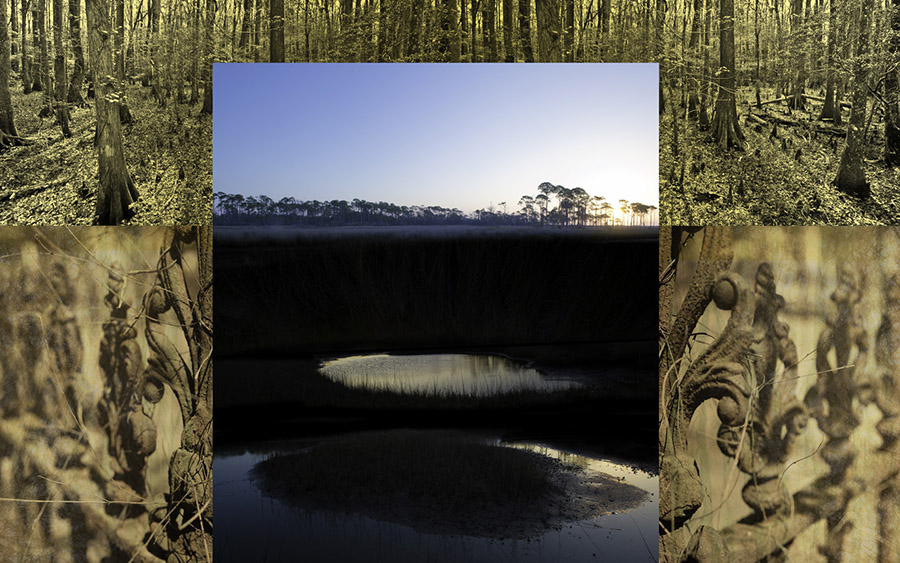 Stillness 4