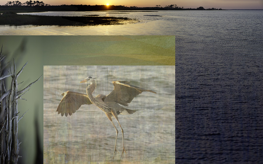 Stillness 5