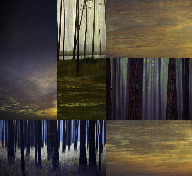 Turp Pines