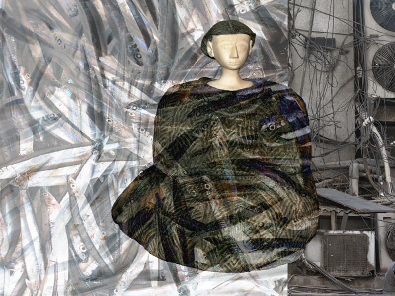 Sakurajima  Dollfish