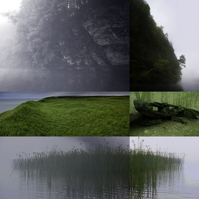 Northern Summer