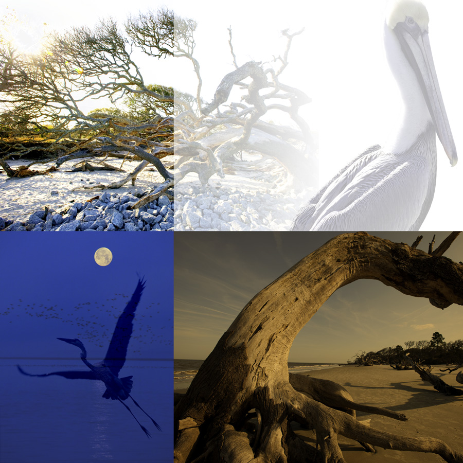 Barrier Lands