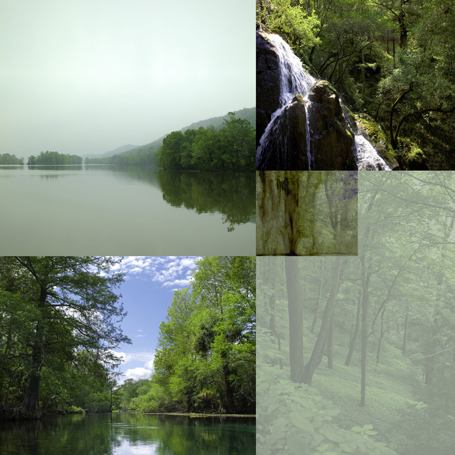 River's Edge