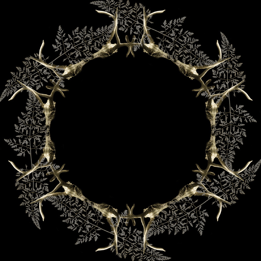 antler reflect M flat
