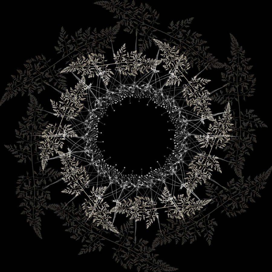 antler reflect P flat