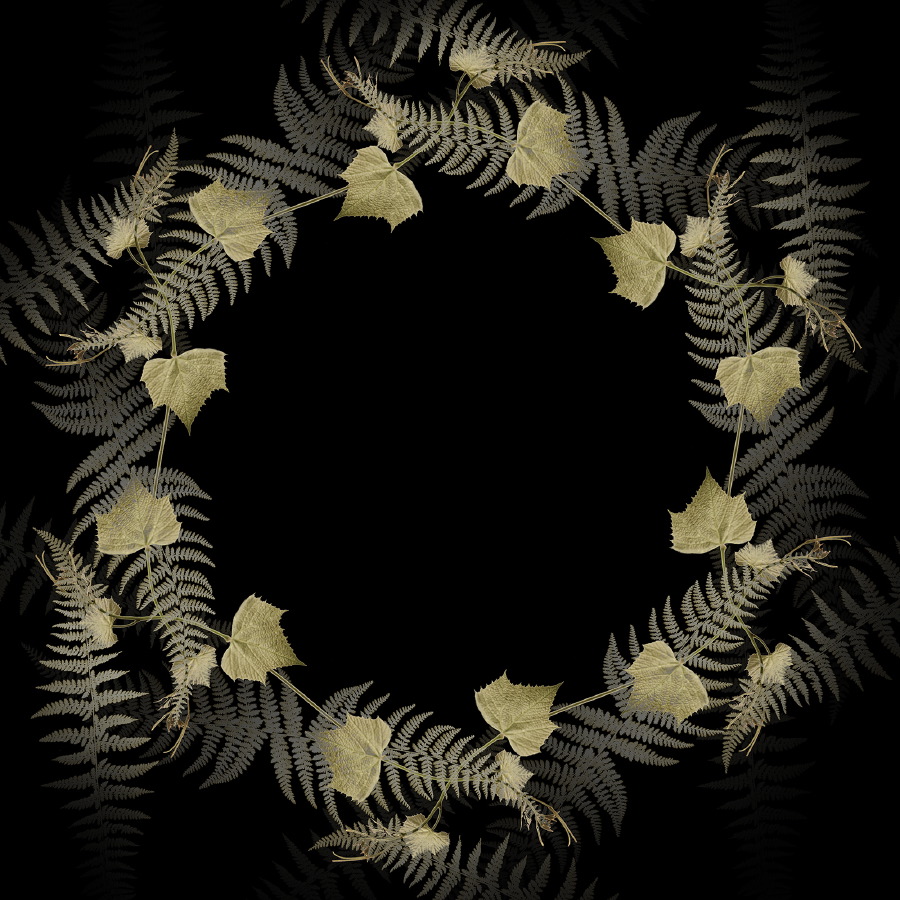 Fern pinwheel 7 flat