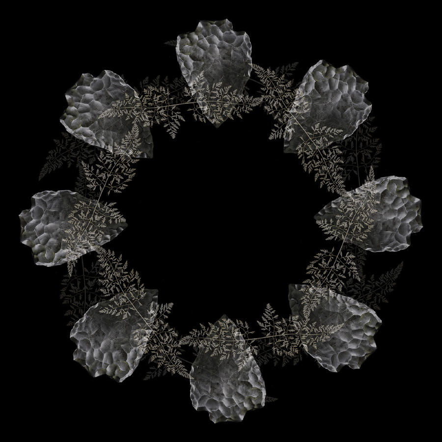 fern swirl M flat