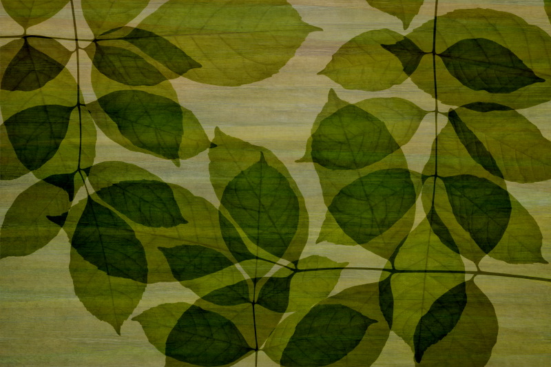 flower1Z