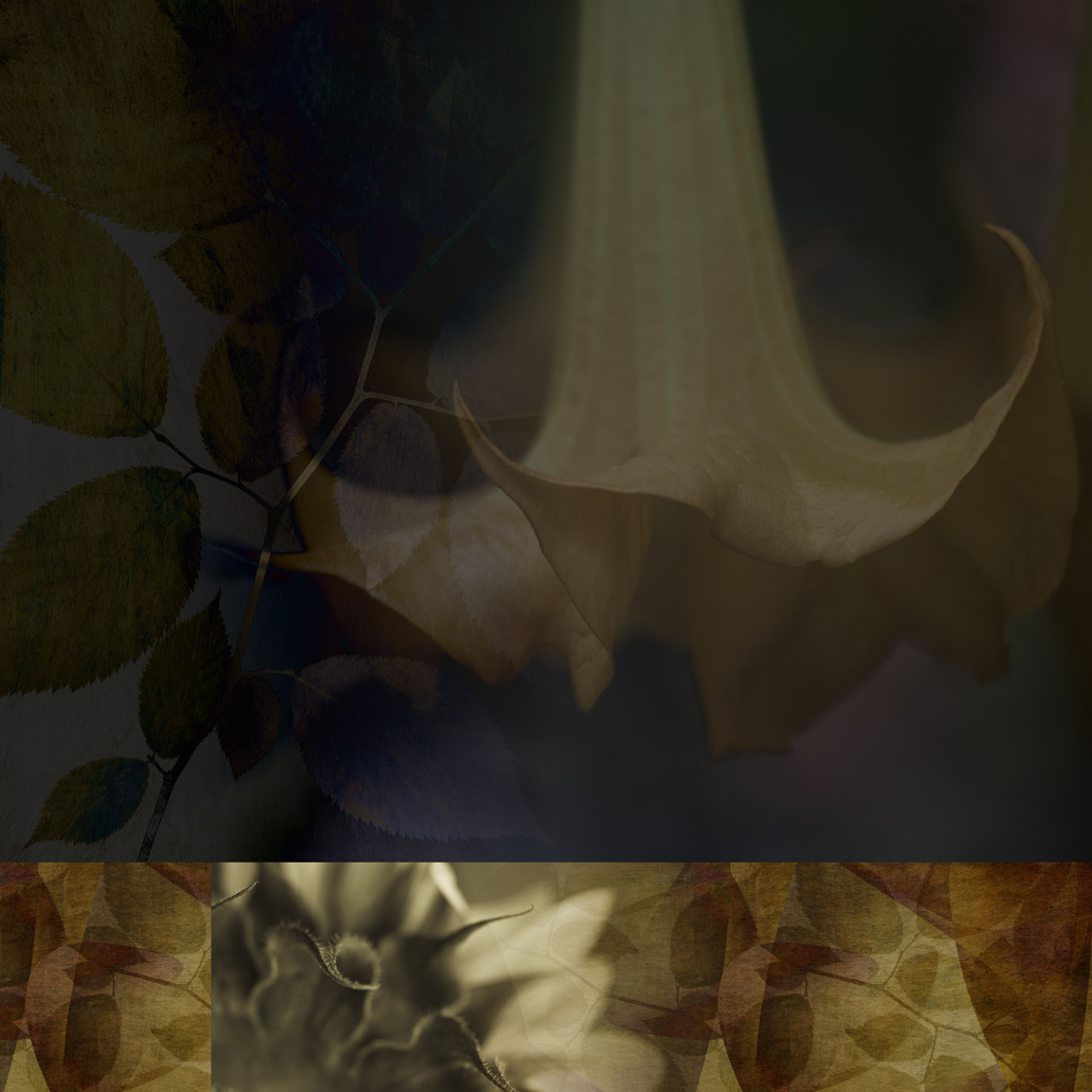 Datura High