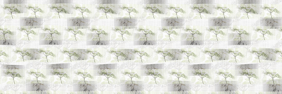 Anise Grass, white