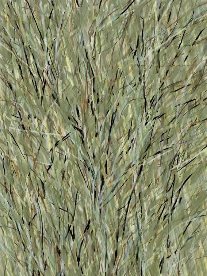 Slant Scrape