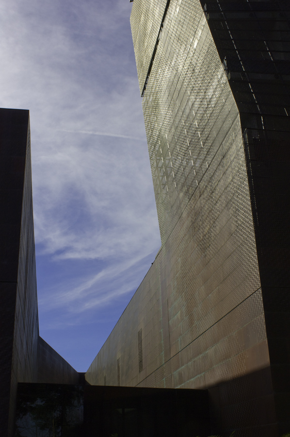  New De Young Museum