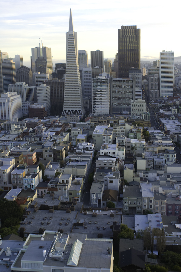 View from Coit Tower