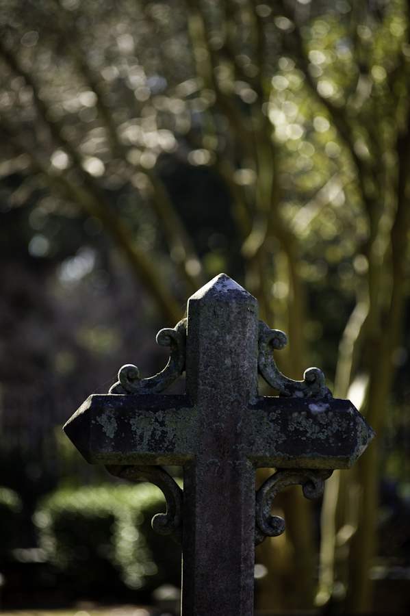 Charleston Churchyard