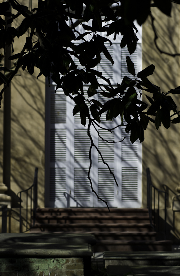 Charleston Churchyard