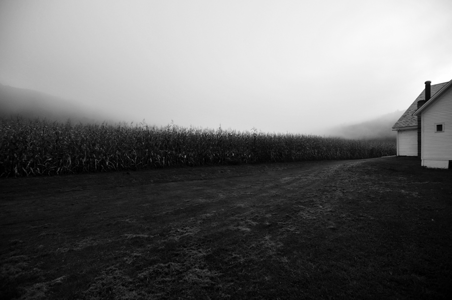 Buckland Farm
