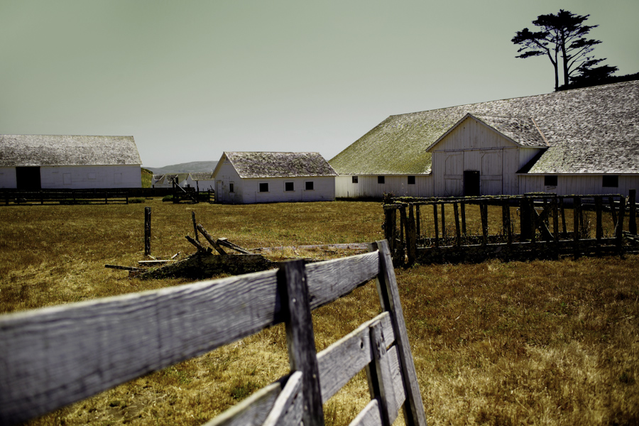 Point Reyes Ranch