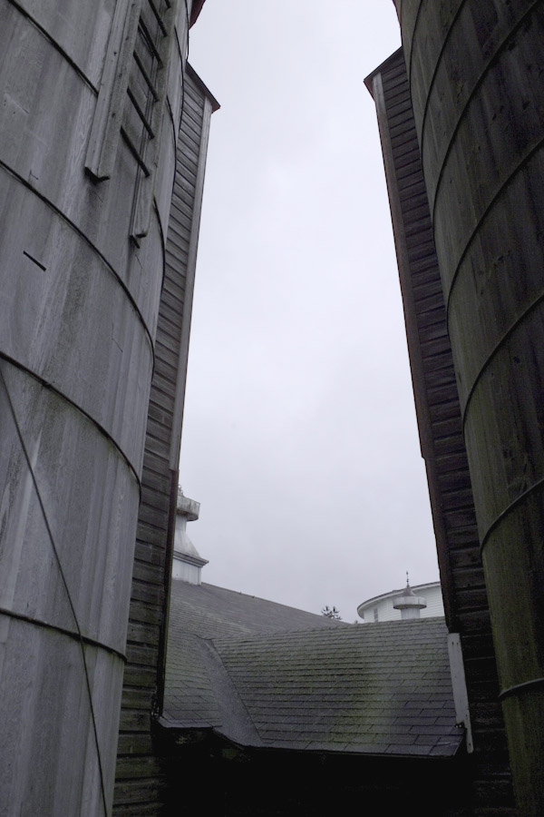 Shaker Silos