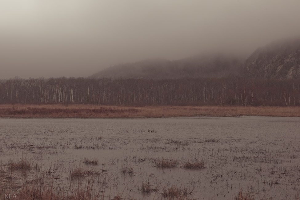 Champlain Mountain 2
