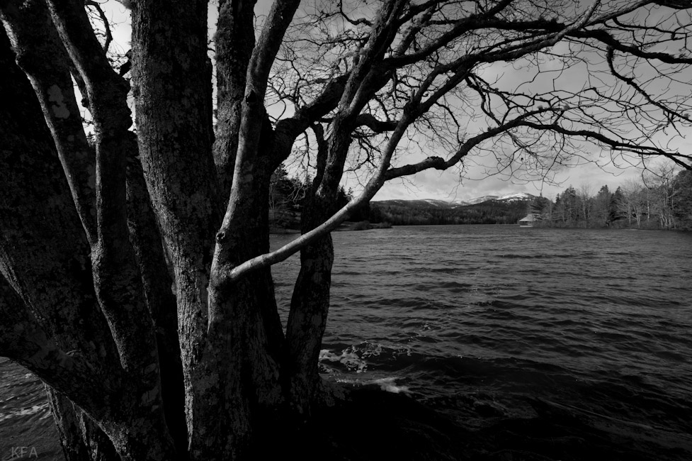Long Pond from Boathouse