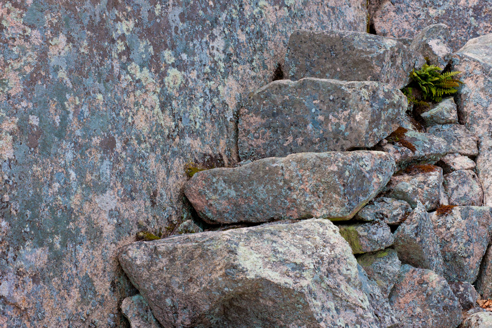 Stairs on Dorr Mountain 1
