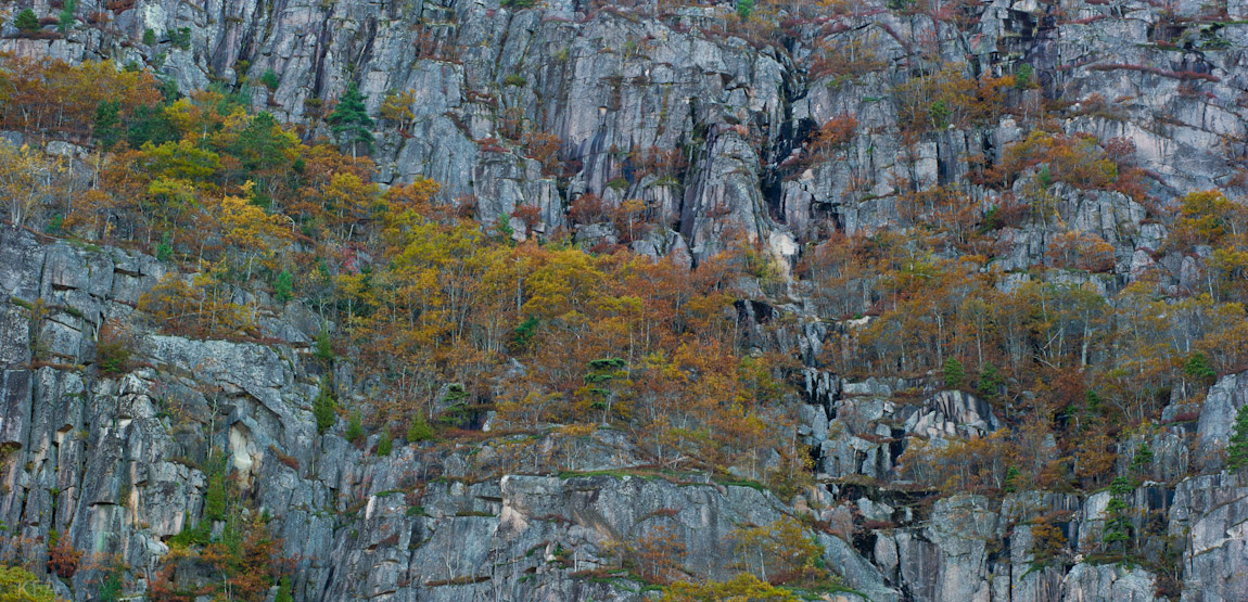 Champlain Mountain Face