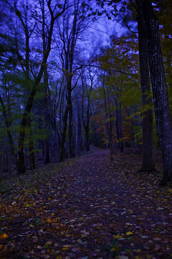 Night Path