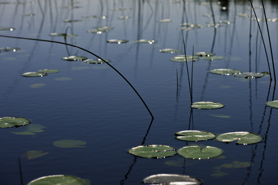 Eagle Lake Reflections 1