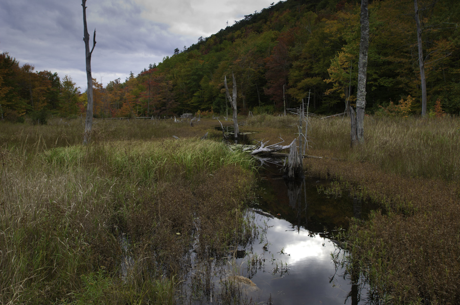 The Tarn 2