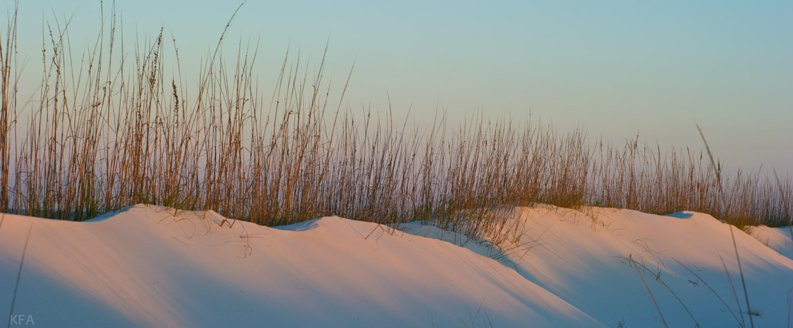 St Jo Dunes 1
