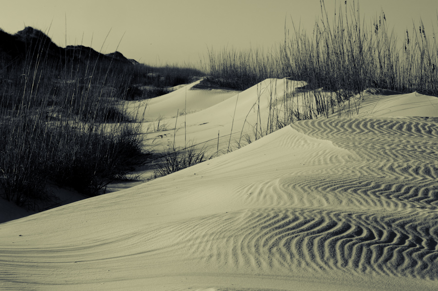 St Jo Dunes 2