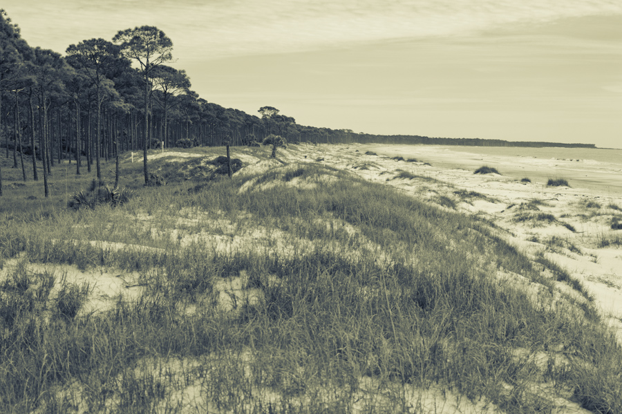 St Vincent Island Ocean Beach Dunes