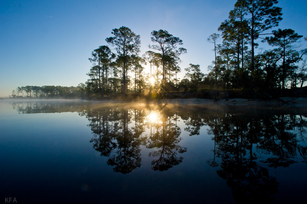 Ochlockonee Dead River Dawn