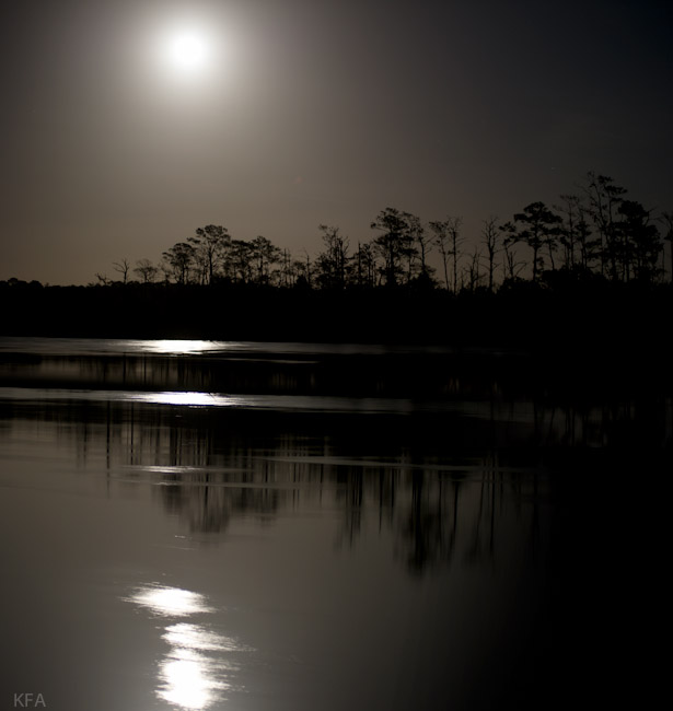 Ochlockonee Moon Rise