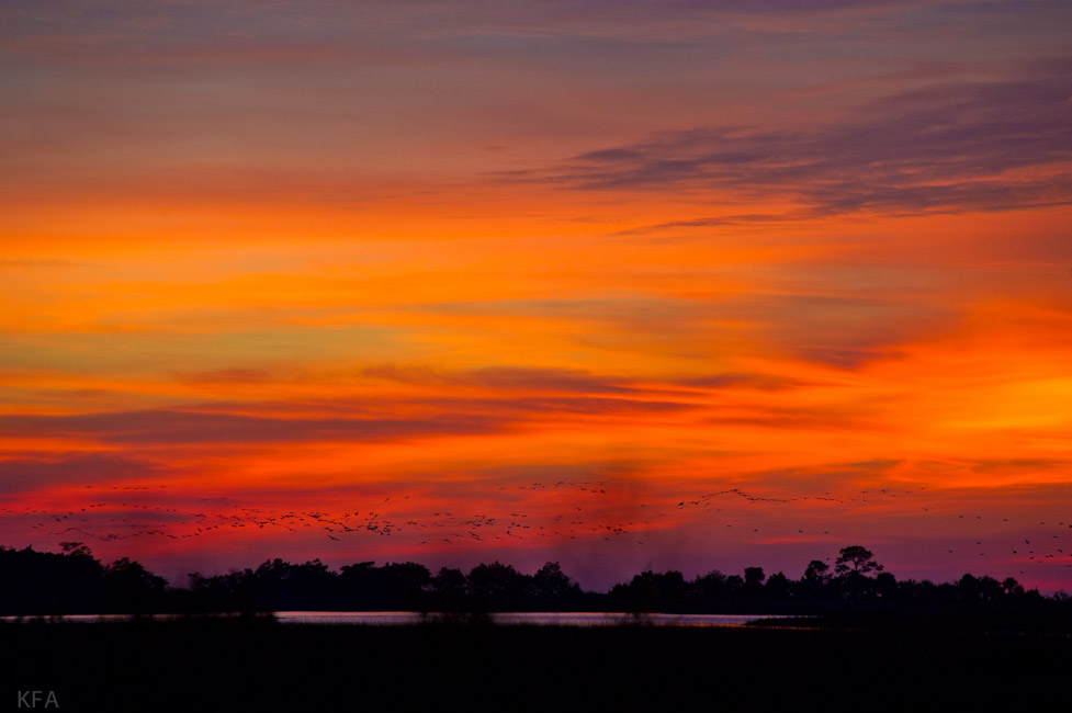 Suwanee Mouth at Dusk
