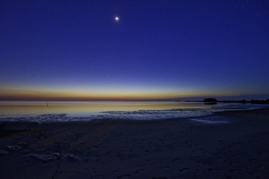 Near the Mouth of the Suwanee