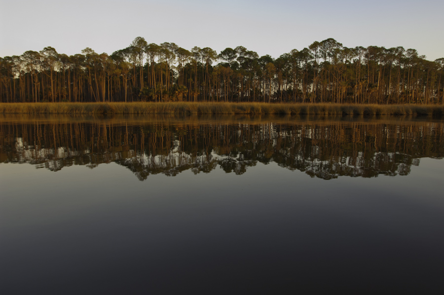Way Up the Tidal River