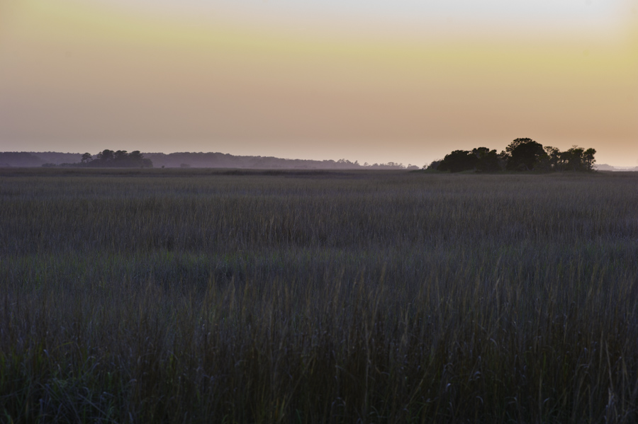 Hunter Island Marsh Evening 1