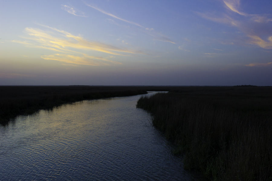Hunter Island Marsh Evening 2